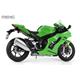 Kawasaki Ninja ZX-10RR (Pre-colored Edition)