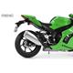 Kawasaki Ninja ZX-10RR (Pre-colored Edition)