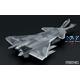 Chinese Chengdu J-20 Stealth Fighter (Beast Mode)
