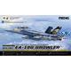 Boeing EA-18G Growler EAA Yellow Jackets