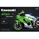 Kawasaki Ninja ZX-10R (Pre-colored Edition) Kawasaki Ninja ZX-10R (Pre-colored Edition)