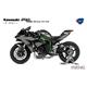Kawasaki Ninja H2R 2018 (Pre-colored Edition)