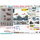 Arctic Animals - Polar Bears - Walrusses - Seals