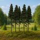 Fichten / Spruce w/ Trunk 10-12cm m.Stamm 5x