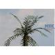 Palmzweige grün - Typ I / Palm leaves green type I