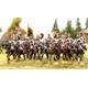 Napoleonic Austrian German Cavalry 1798-1815