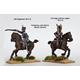 Napoleonic British Light Dragoons 1808-15