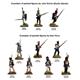 Napoleonic Duchy of Warsaw Inf. Battalion 1807-14