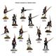 Napoleonic Duchy of Warsaw Inf. Battalion 1807-14