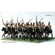 French Napoleonic Hussar box set