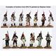 Spanish Napoleonic Infantry (1) 1808-11