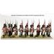 Spanish Napoleonic Infantry (1) 1808-11