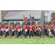 British Infantry Zulu Wars ( box of 40 figures)
