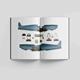 Spitfire Mk. I in Battle of Britain Book