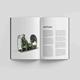 Spitfire Mk. I in Battle of Britain Book