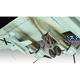Focke-Wulf Fw 200 C-5 / C-8 Condor