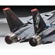 Grumman F-14D Super Tomcat