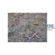 Nature-in-a-Pot - Wildgras Meadow Scatter