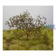 Natural Trees / Bushes (Sea Foam) - Meerschaum