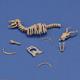 Antelope skeleton (1:35)