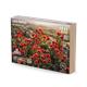 Lush Poppies / Mohnblumen 1/16