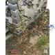Diorama Base: "Ardennes Forest"