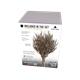 Pollarded Willow / Kopfweide No.1 (150 mm)