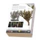 Pollarded Willow / Kopfweide No.2 (200 mm)