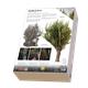 Pollarded Willow / Kopfweide No.3 (250 mm)