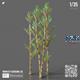 SwiftVegetation: Bamboo