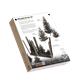 Young Fir Trees Set / Junge Tannen (40, 70, 90 mm)