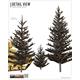 Young Fir Trees Set / Junge Tannen (40, 70, 90 mm)