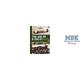 Aviation Guide: IAR.80 & IAR.81
