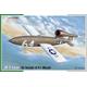 Republic-Ford JB-2 Loon "US Version V-1 Missile"