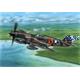 Curtiss P-40 E Warhawk "Claws and Teeth"