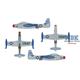 F-84E Thunderjet 36 FBW Commander
