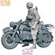 Motorcycle Trooper for WWII German R75 (3D Print.)