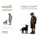 German Child & Puppy (Child & German Shepherd)