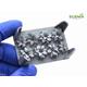 Great Plantain / Wegerich