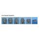 Soviet Head Set #2