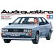 Audi Quattro  (1:24)