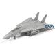 Grumman F-14D Tomcat (1:72)