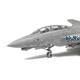 Grumman F-14D Tomcat (1:72)