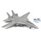 Grumman F-14D Tomcat (1:72)