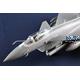PAF J-10CE Multi-Role Fighter & IAF Rafale 2 in 1