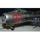 Mikojan-Gurevich Mig-19S "Farmer C"