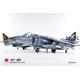 McDonnell Douglas AV-8B Harrier II PLUS