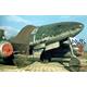 Rasensteine German Luftwaffe Airfield Pavers