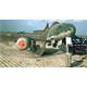 Rasensteine German Luftwaffe Airfield Pavers