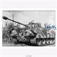 Panther Ausf. D + Bergepanther Technik und Einsatz